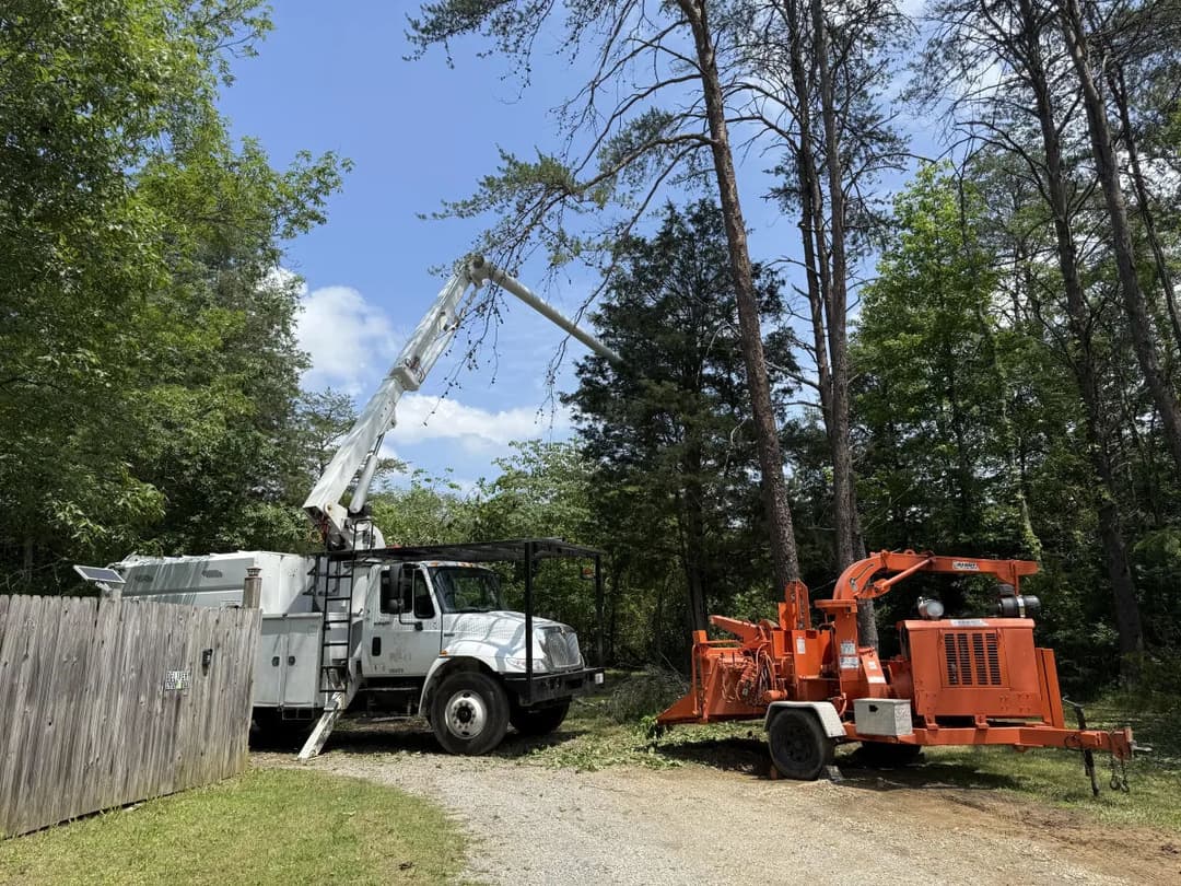 Tree trimming truck with extendable arm and wood chipper in a wooded area.
