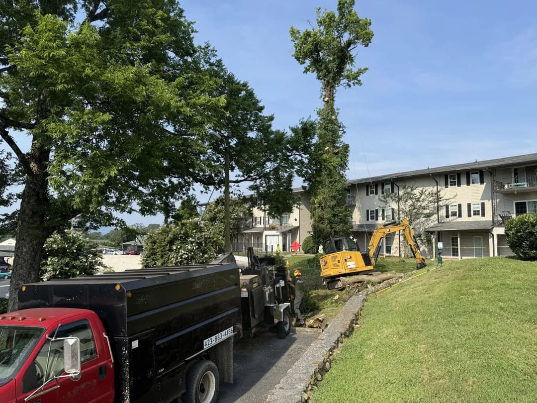 Tree removal machinery and trucks near an apartment building under clear blue sky.