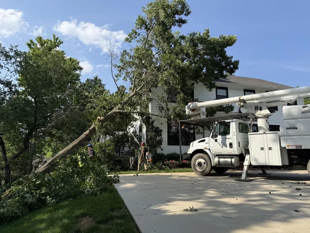 Tree removal service in action with a truck and workers by a damaged house.