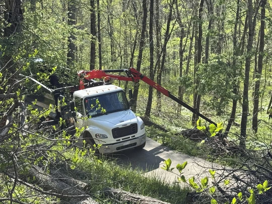 White truck with a red crane working in a lush green forest.
