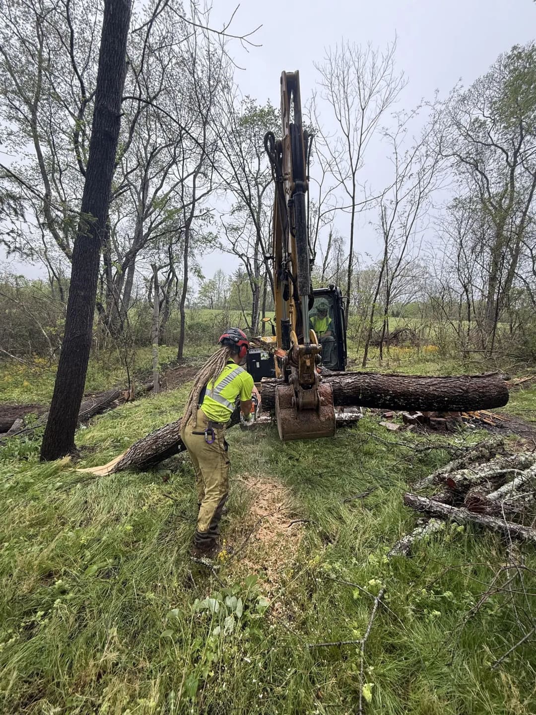 Worker operating a backhoe to move fallen trees in a forested area after a storm.