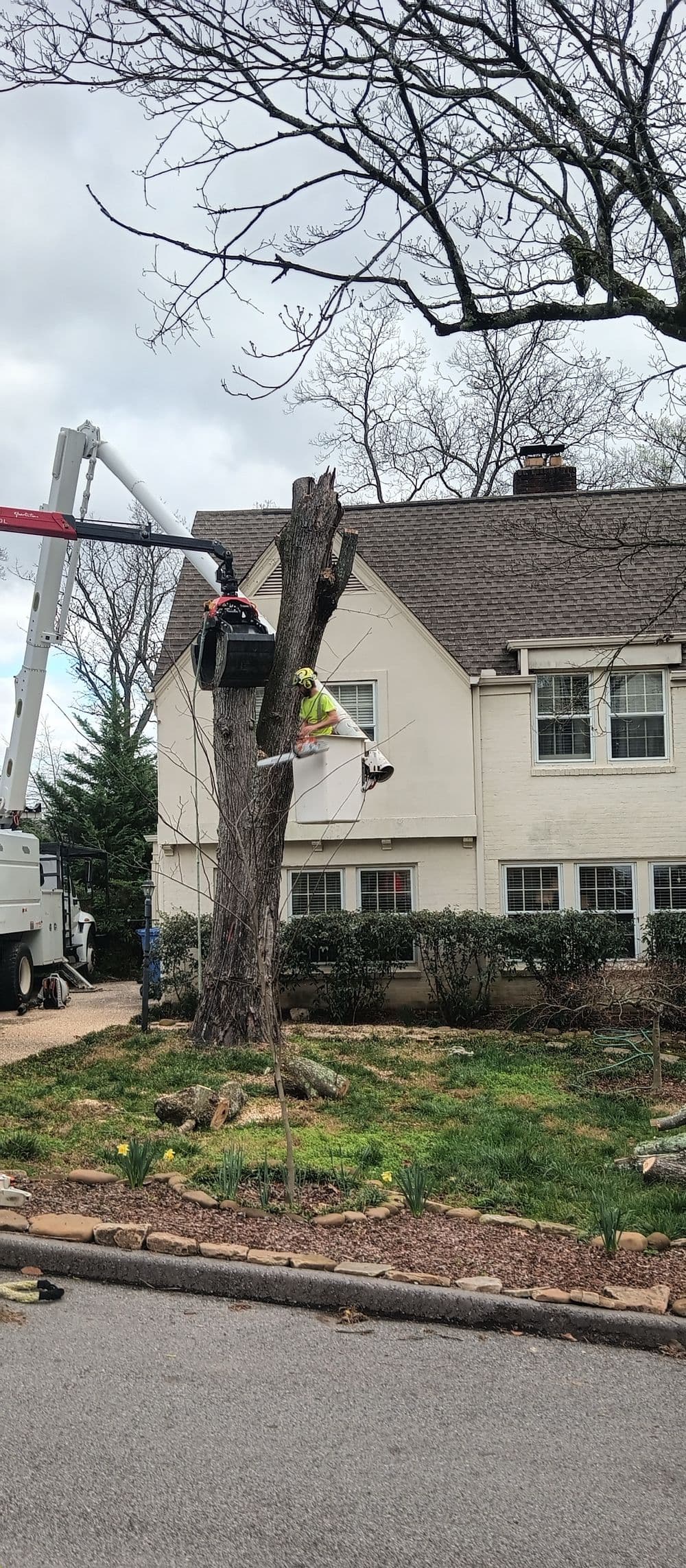 Tree removal service in action near a home with a worker using a lift.