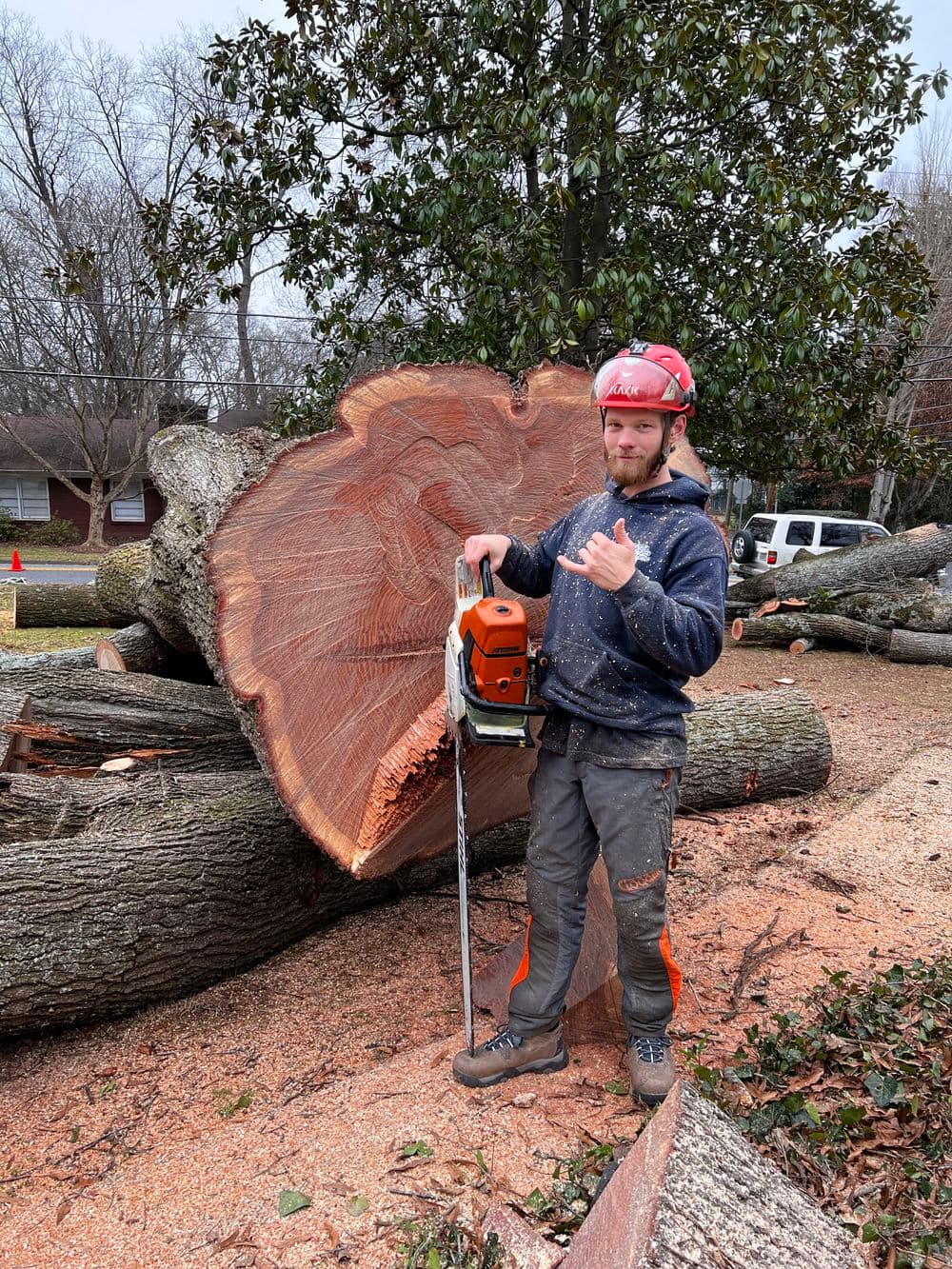 Lumberjack with chainsaw beside freshly cut tree trunk in outdoor setting.