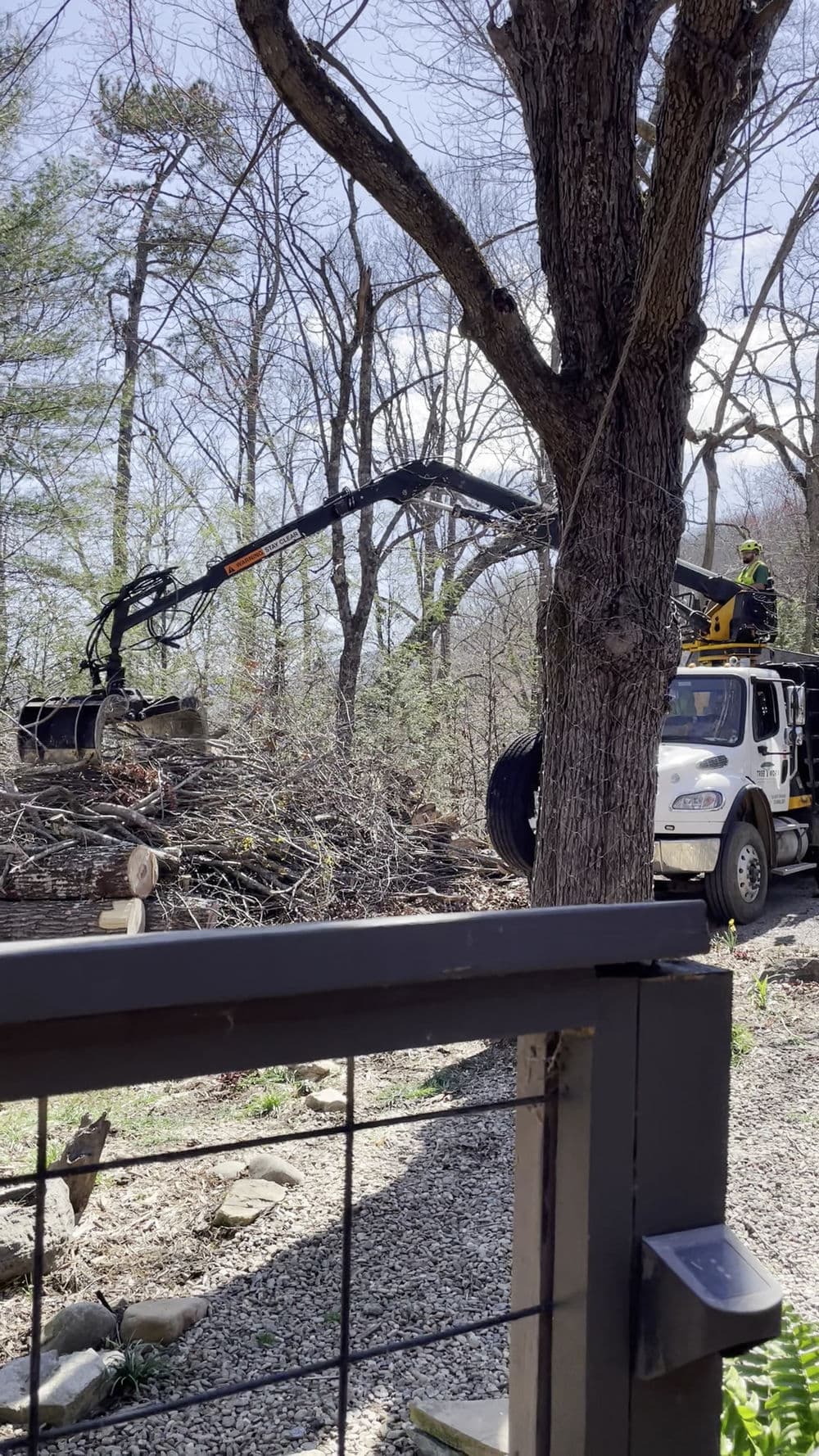 Tree removal equipment lifting logs from a wooded area near a house.