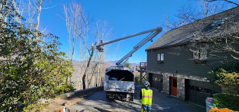 Tree service crew using a lift truck for tree trimming near a house on a clear day.