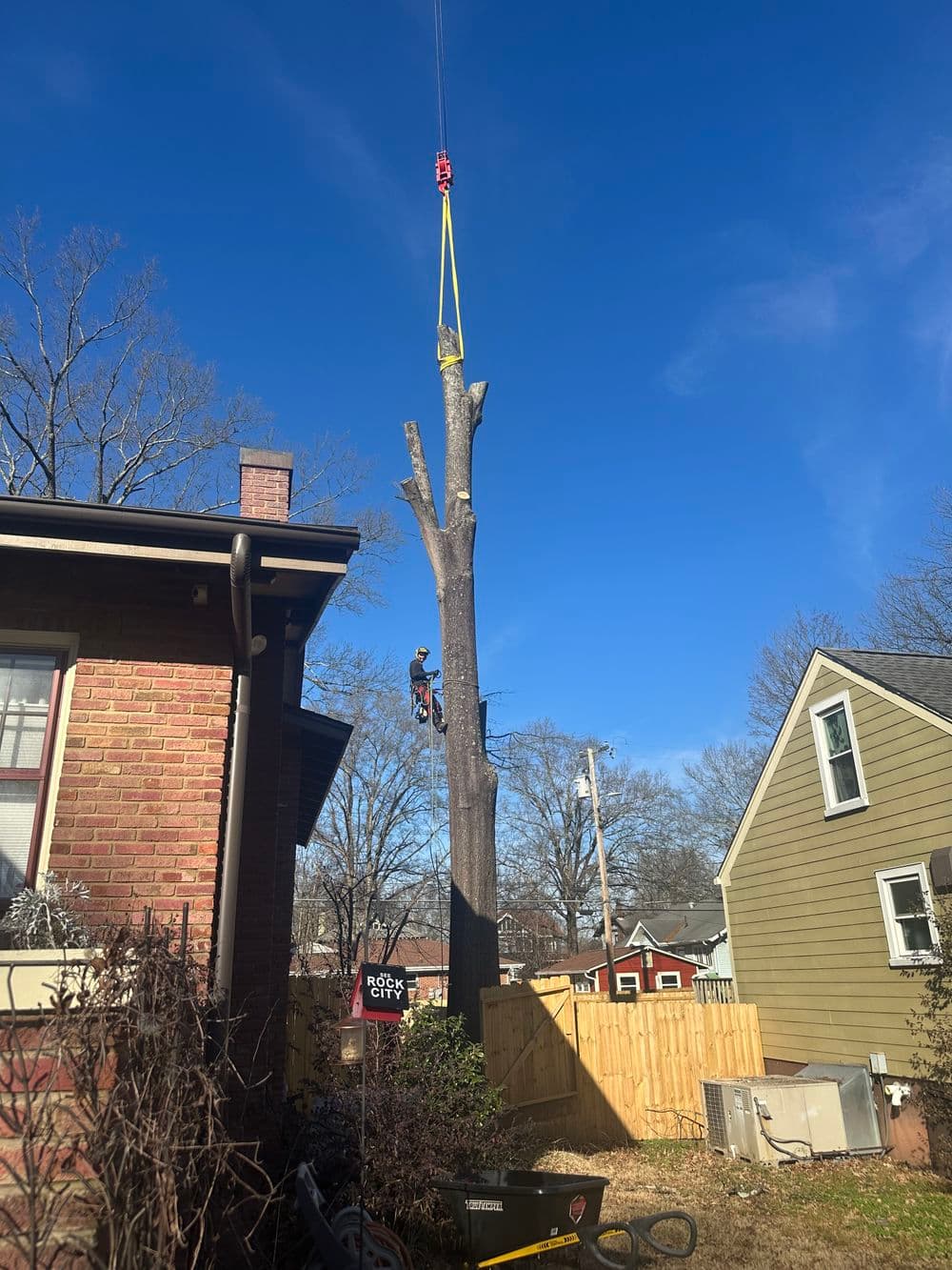 Tree removal in a residential area, with a worker using a crane against a clear blue sky.