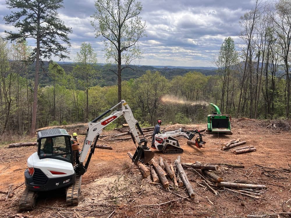 Heavy machinery clearing logs in a forested area with workers and mountains in the background.