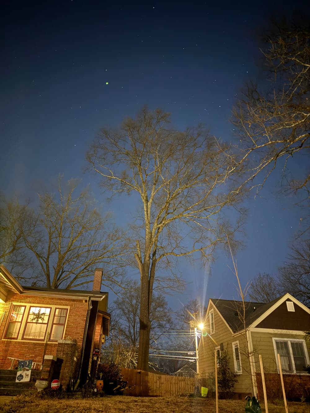 Night sky with stars over a suburban neighborhood and towering tree.