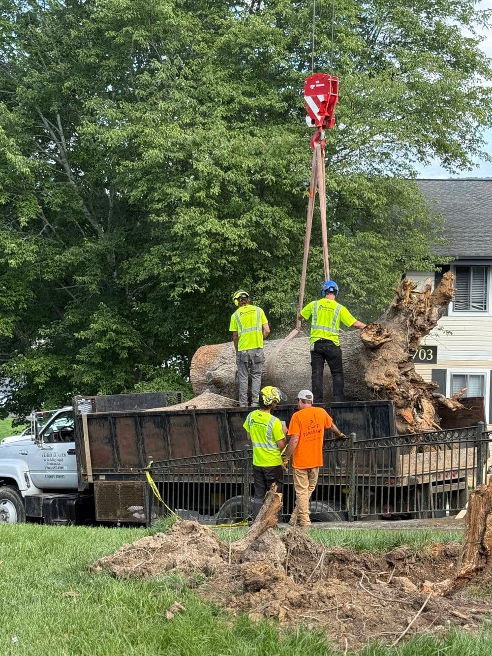 Workers using a crane to lift a large tree stump from a truck on a residential lawn.