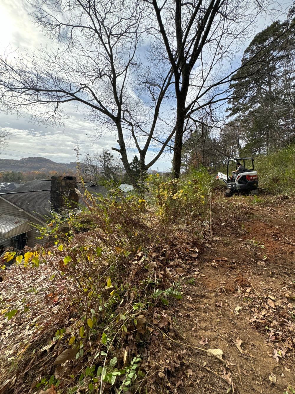 Cleared hillside with autumn foliage, construction equipment visible in the background.