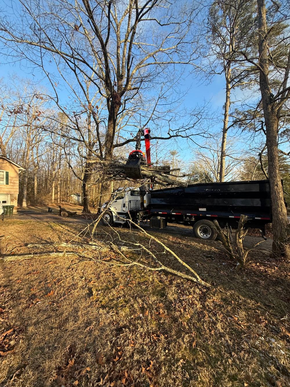 Tree removal truck with crane working on large branches near a house in a wooded area.