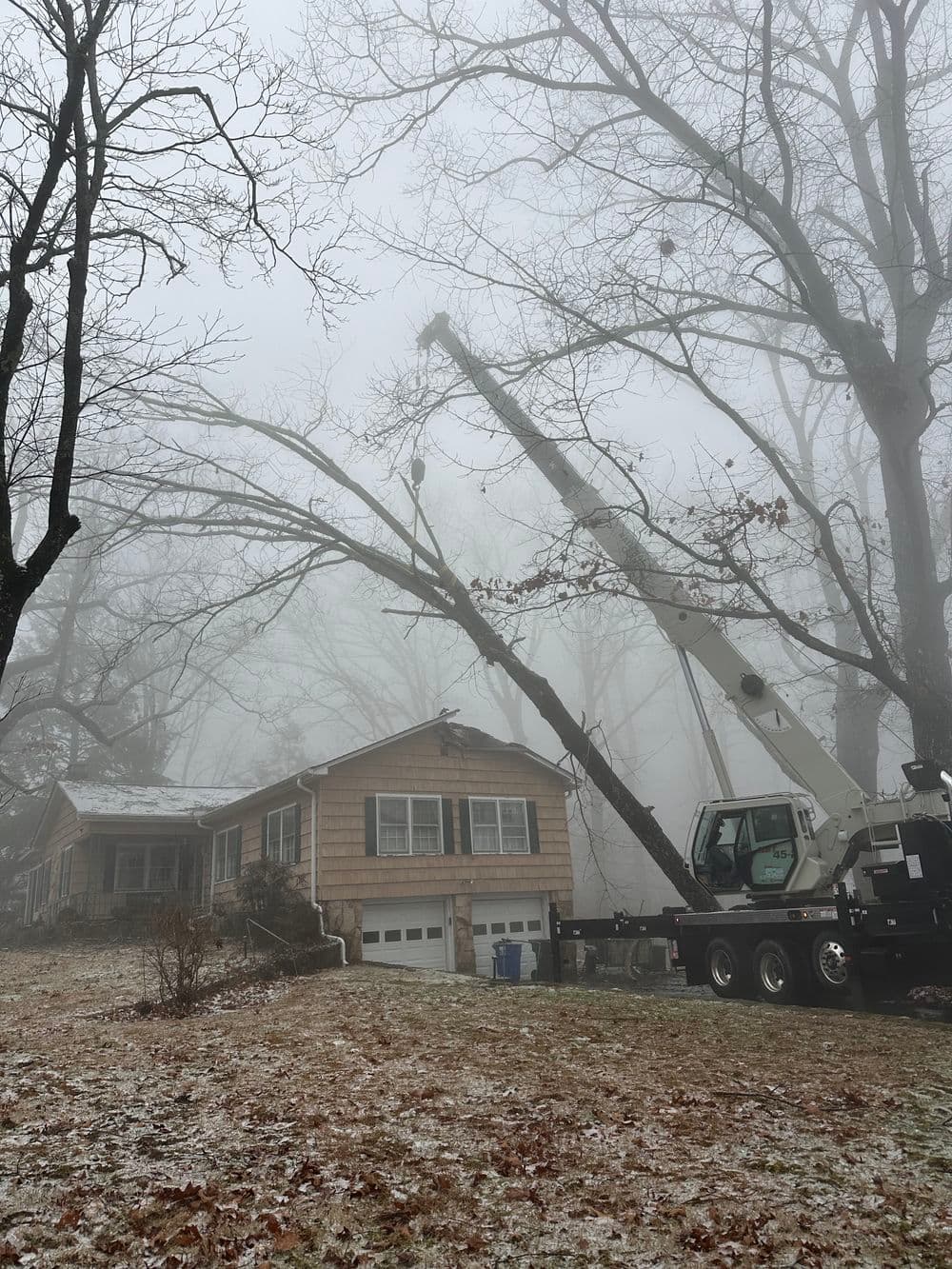 Crane removing tree branches near a house in foggy weather.