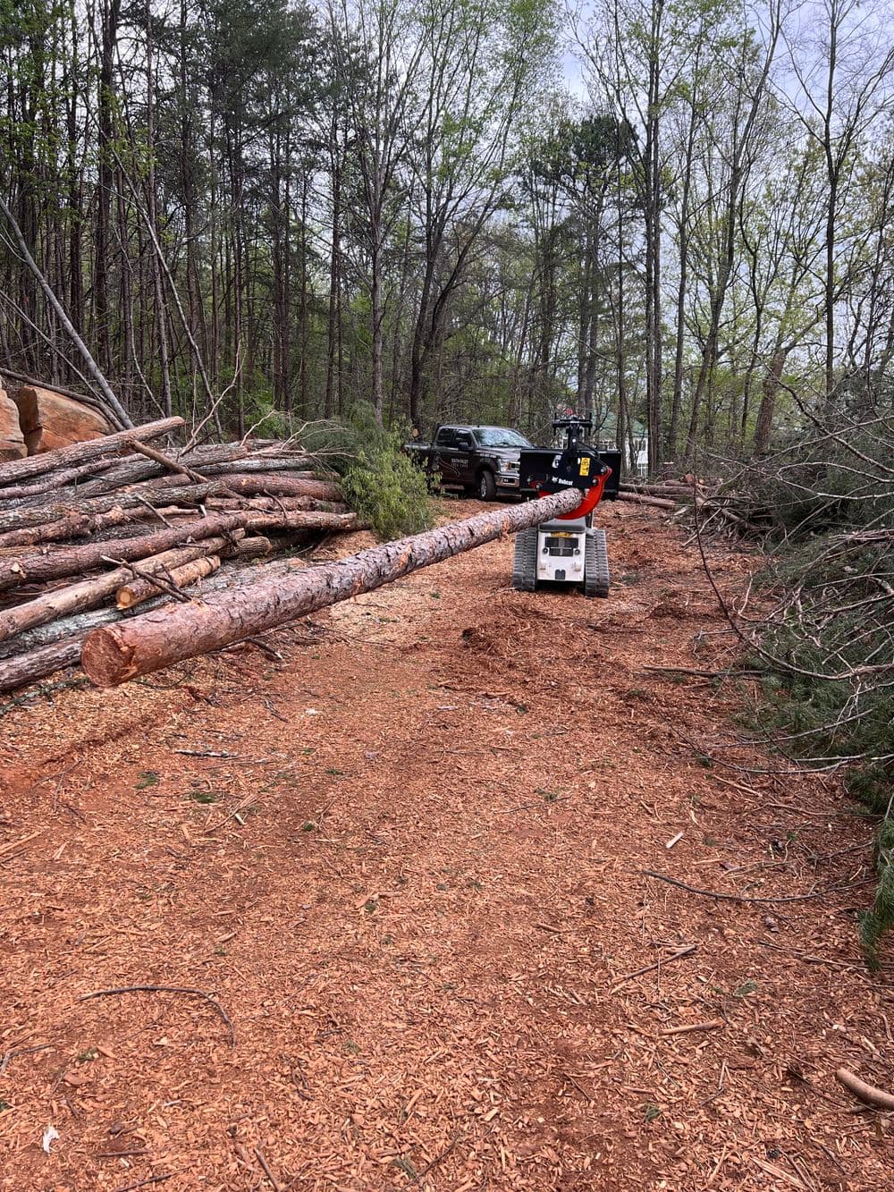 Skid steer loader moving logs in forested area with pickup truck nearby.