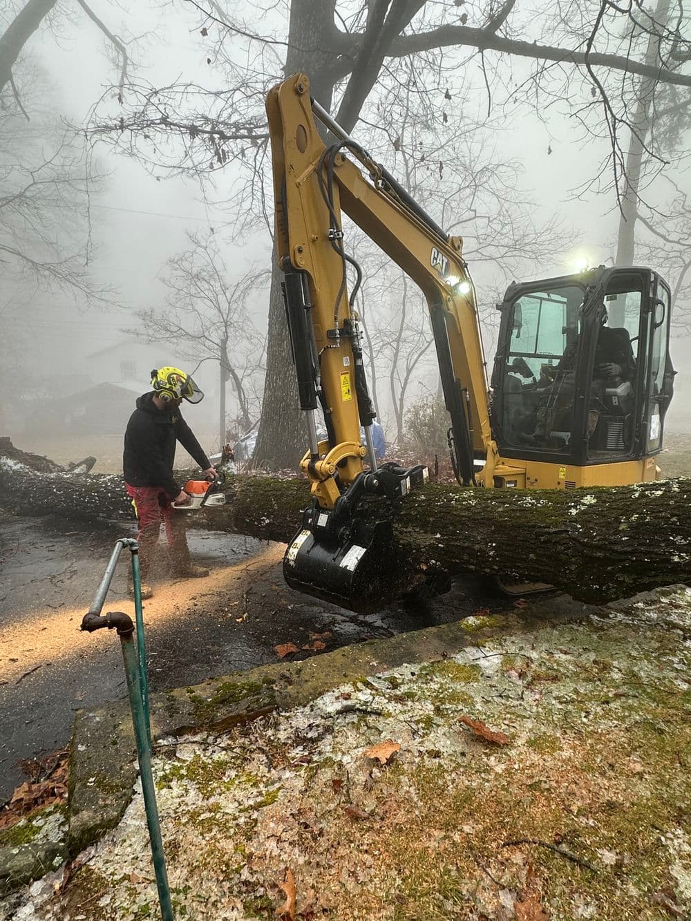 Excavator clearing fallen tree in foggy landscape, worker using chainsaw nearby.