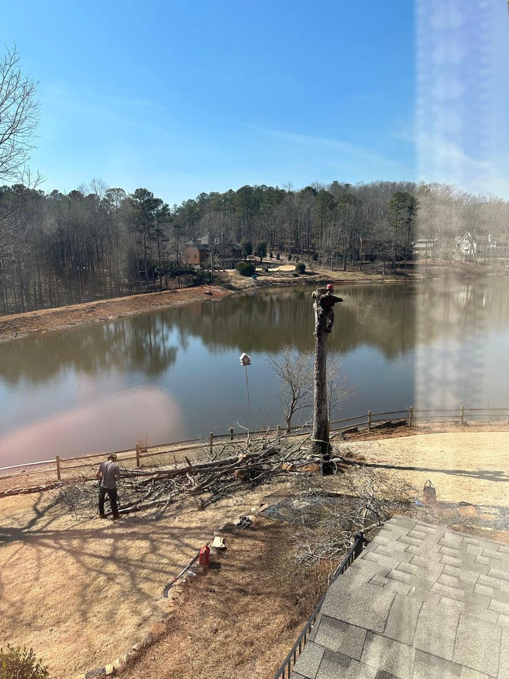 Tree removal near a lake with workers and equipment, showcasing a serene landscape.