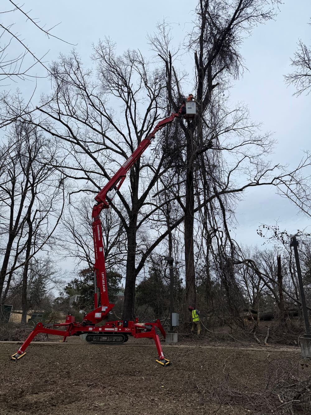 Red aerial lift trimming tree branches in a winter landscape.
