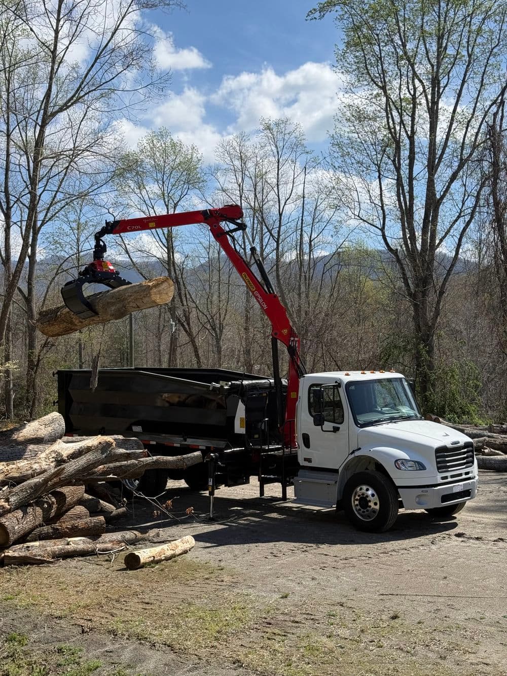 Crane truck lifting logs at a lumber yard with trees and blue sky in the background.