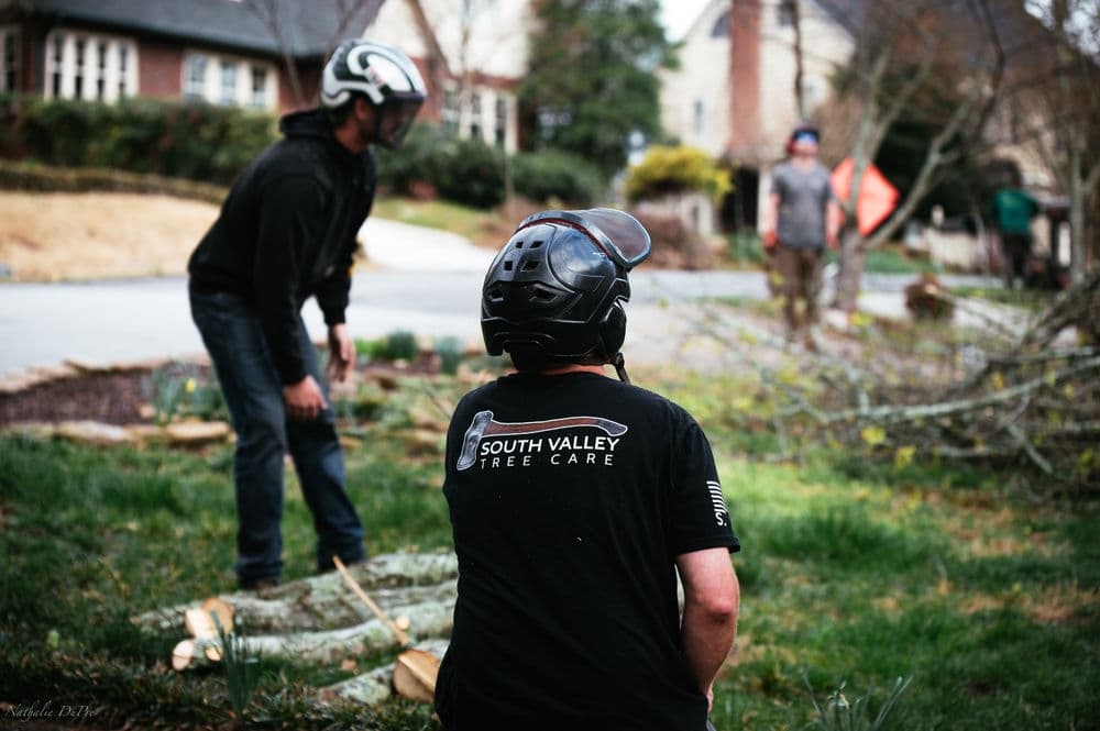 Tree care workers in helmets cutting branches in a residential yard. Safety and teamwork emphasized.