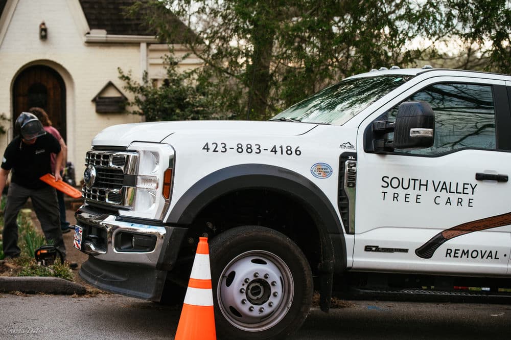 South Valley Tree Care truck with contact details, parked near a tree removal site.
