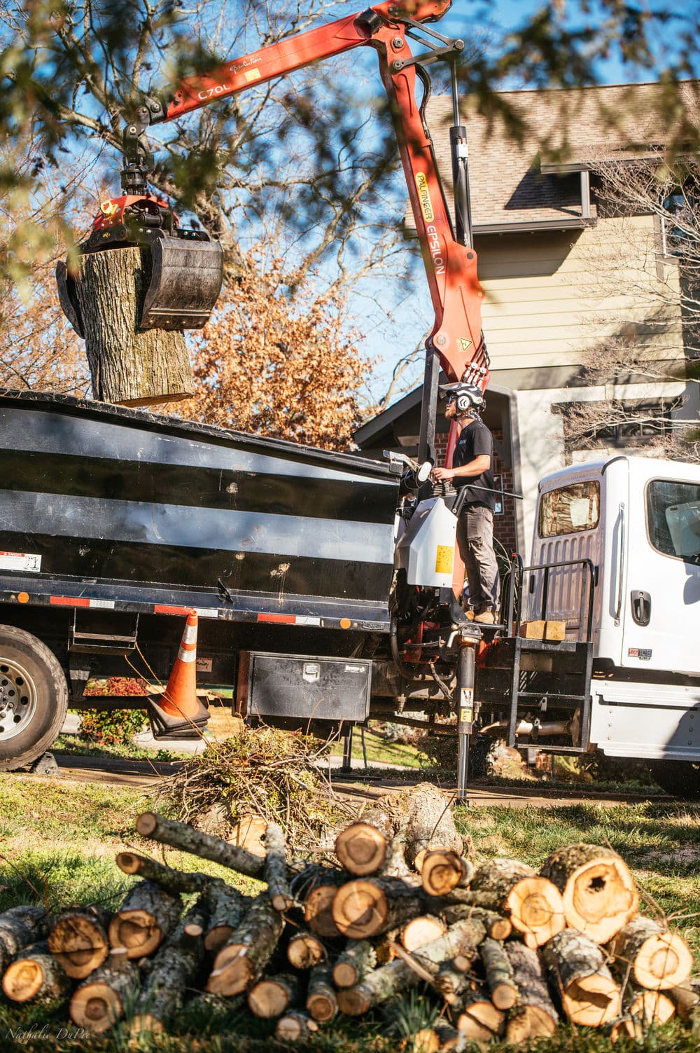 Tree removal service using a crane to lift logs into a truck on a residential street.