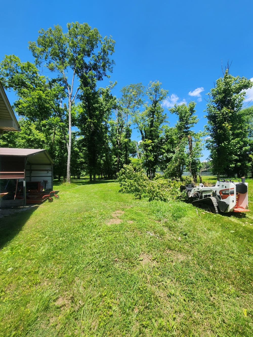 Lawn with freshly cut branches, trees, blue sky, and a parked vehicle in a serene landscape.