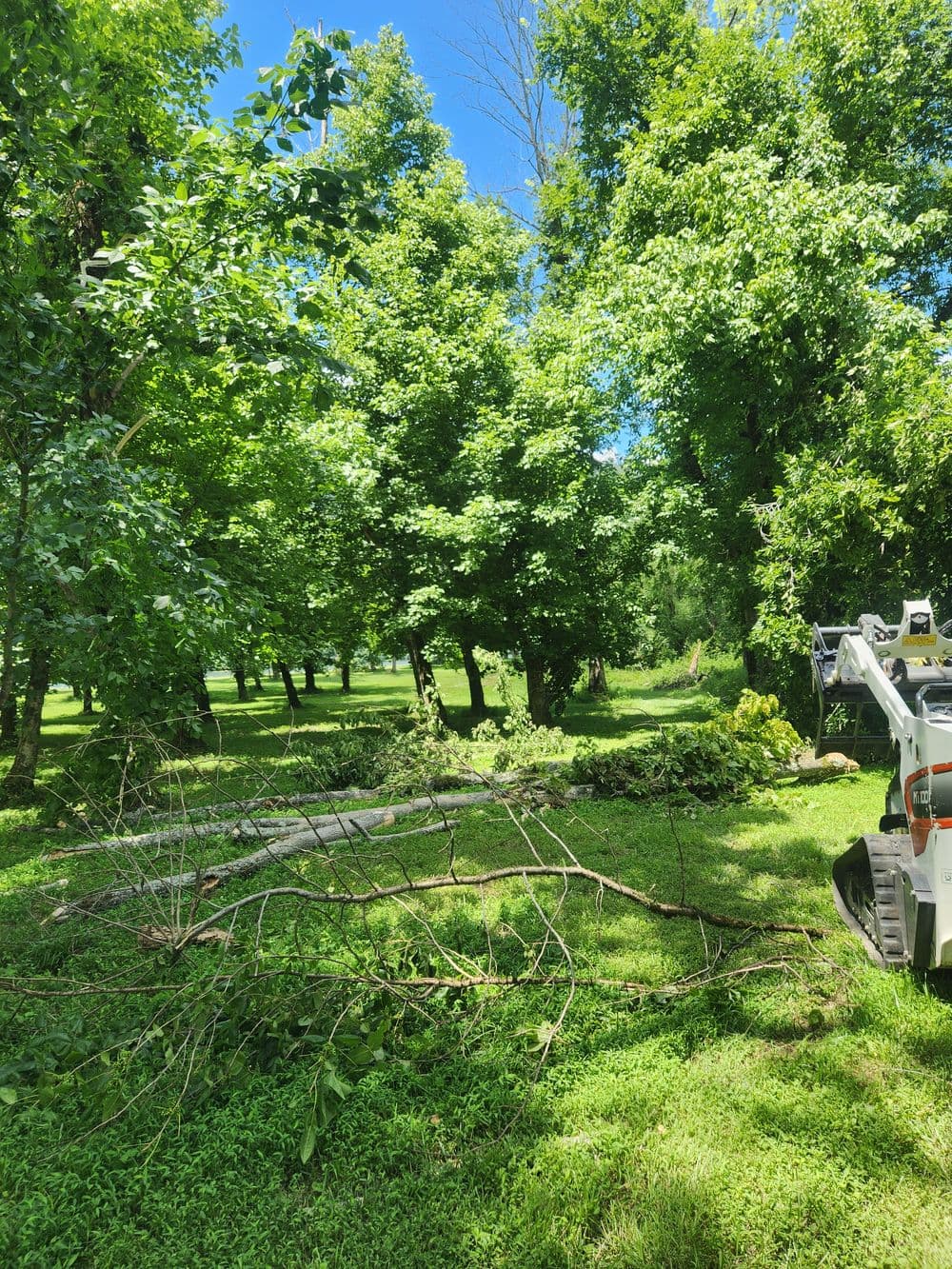 Lush green yard with fallen branches and a tree removal machine under blue sky.