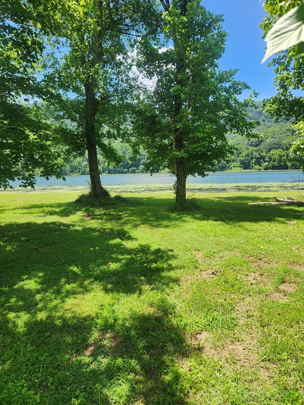 Gallery photos for Storm Damage Tree Removal on a Riverside Property in Whitwell: Image #3