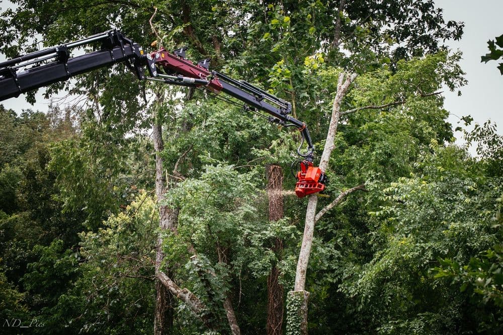 Grapple Saw Crane Clears 15+ Trees for Mountain View in Chattanooga