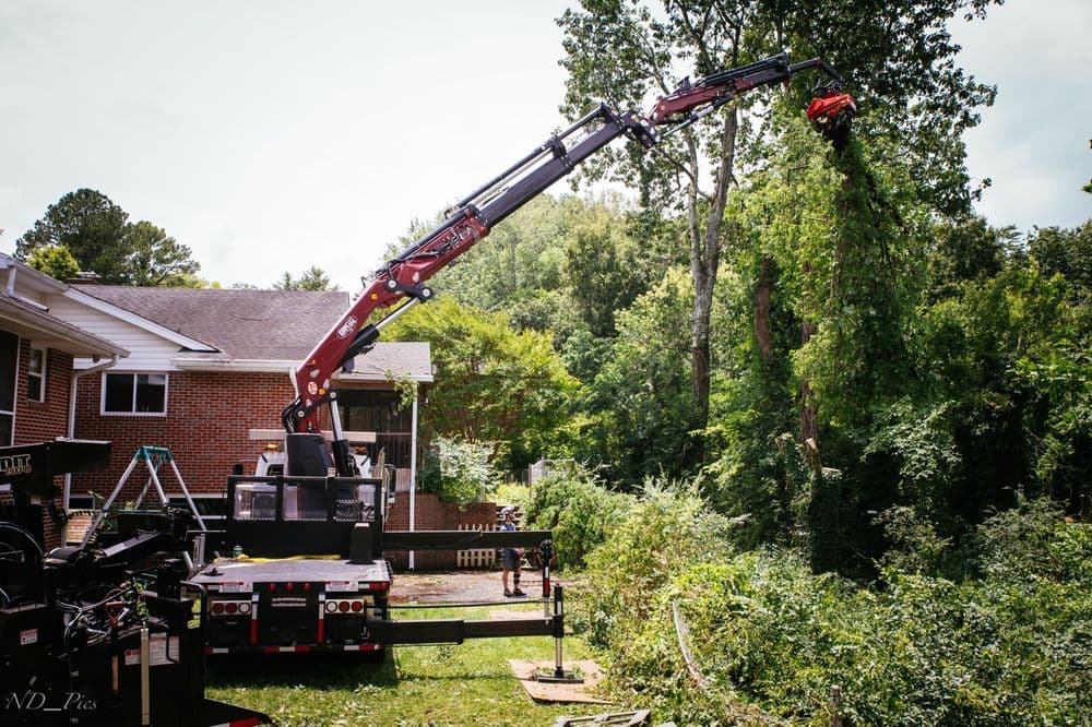 Grapple Saw Crane Clears 15+ Trees for Mountain View in Chattanooga