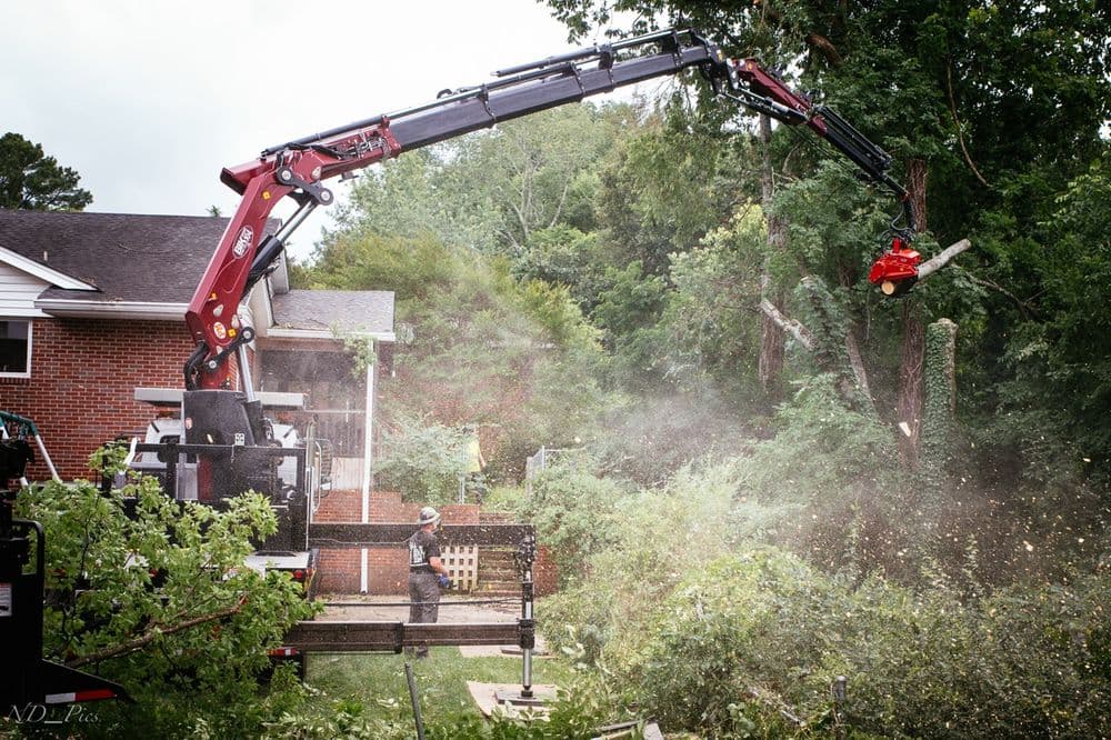 Grapple Saw Crane Clears 15+ Trees for Mountain View in Chattanooga