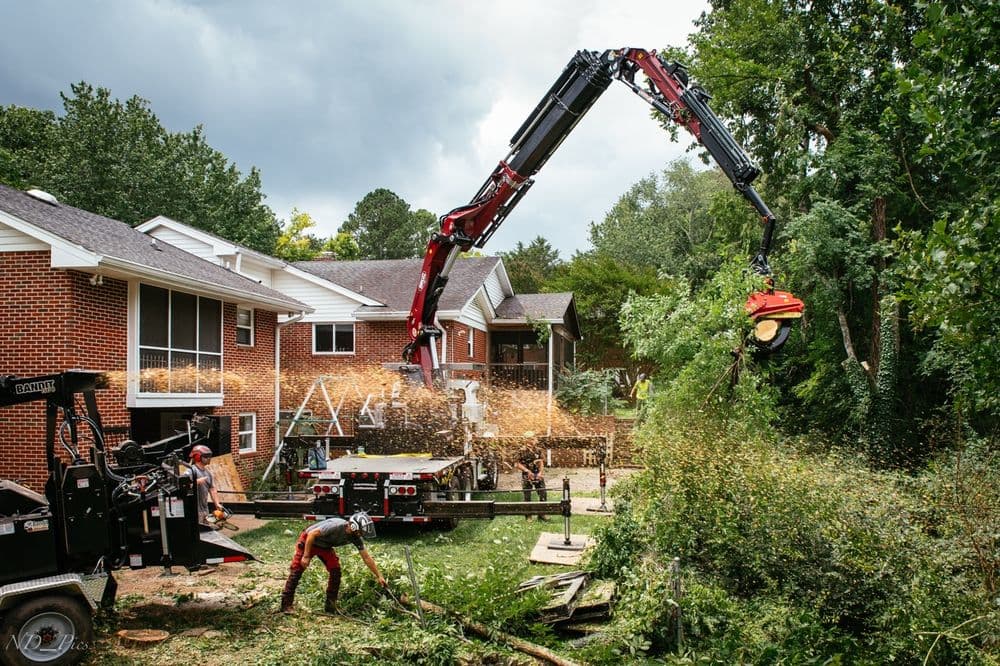 Grapple Saw Crane Clears 15+ Trees for Mountain View in Chattanooga