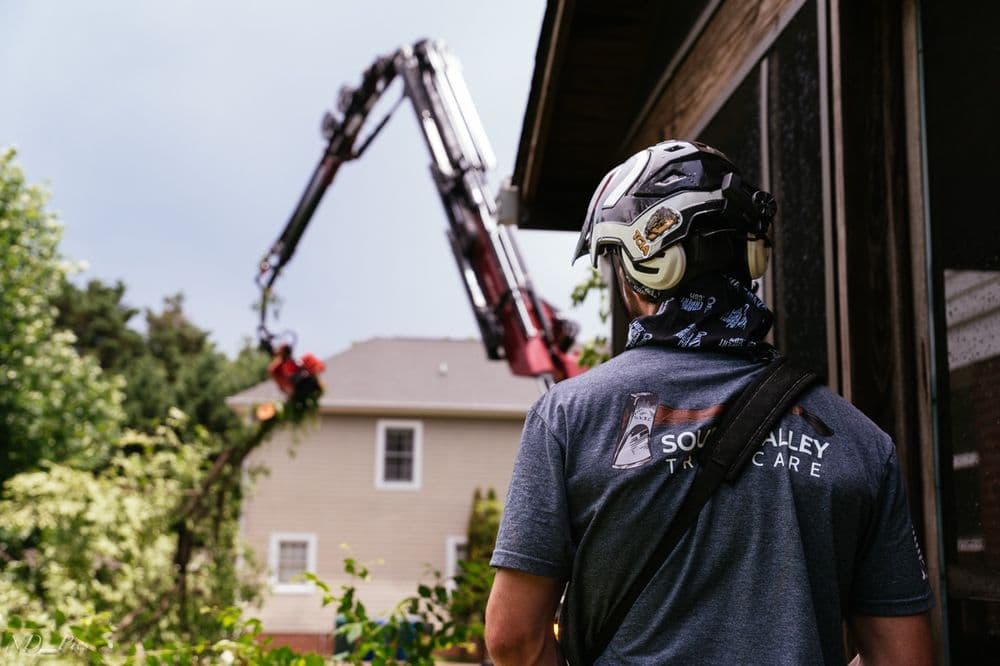 Grapple Saw Crane Clears 15+ Trees for Mountain View in Chattanooga