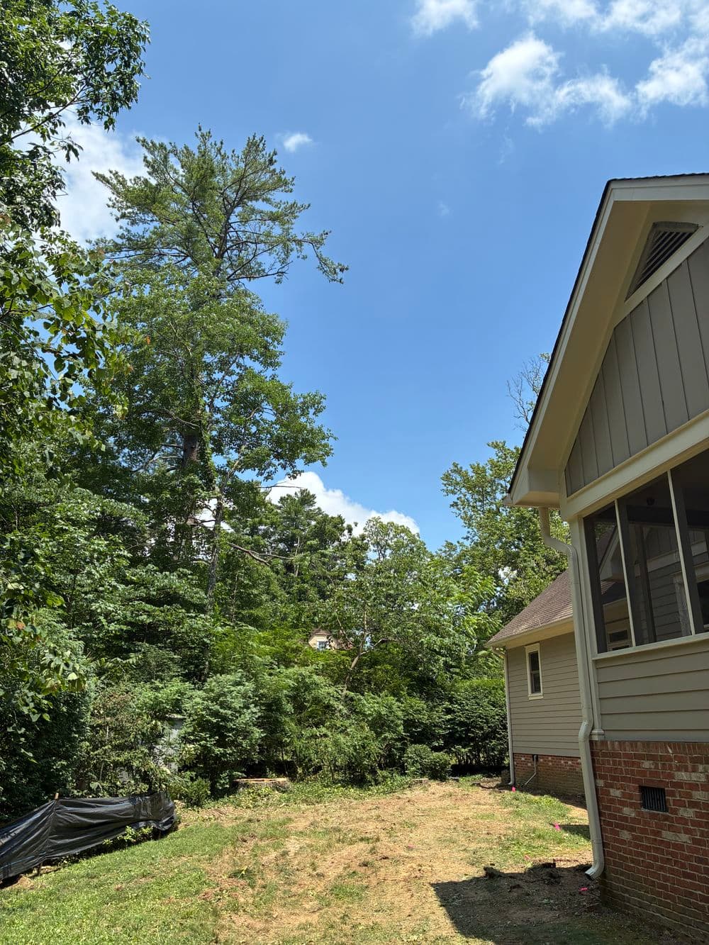 Gallery photos for 3 Large Tree Removals  on Signal Mountain: Image #3