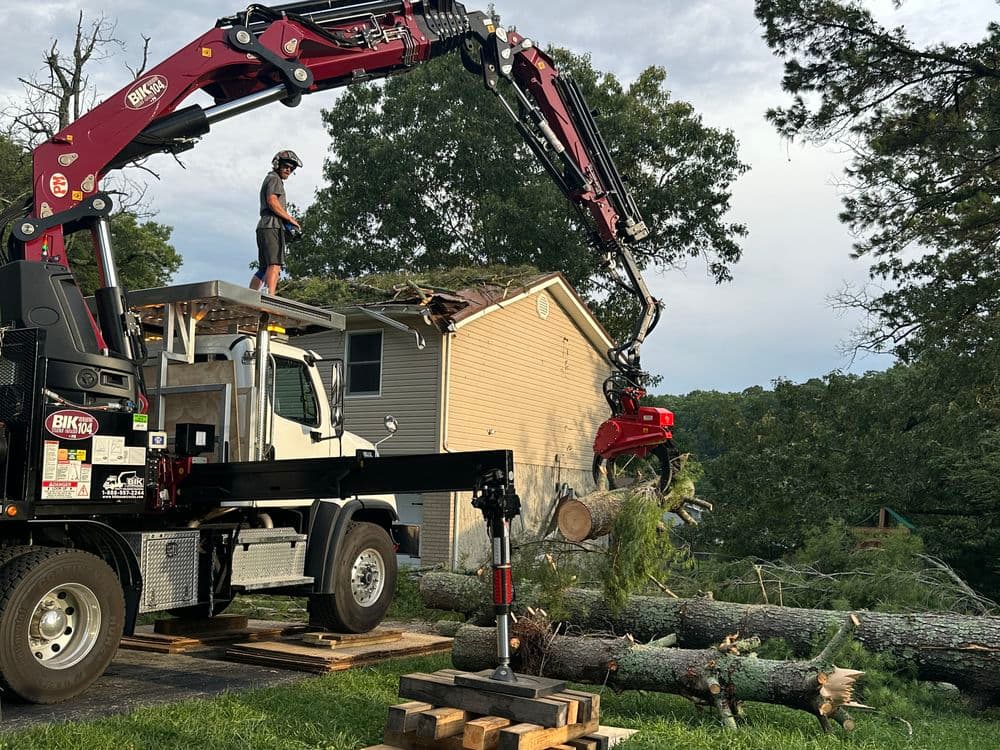 Uprooted Pine Tree Laying on House