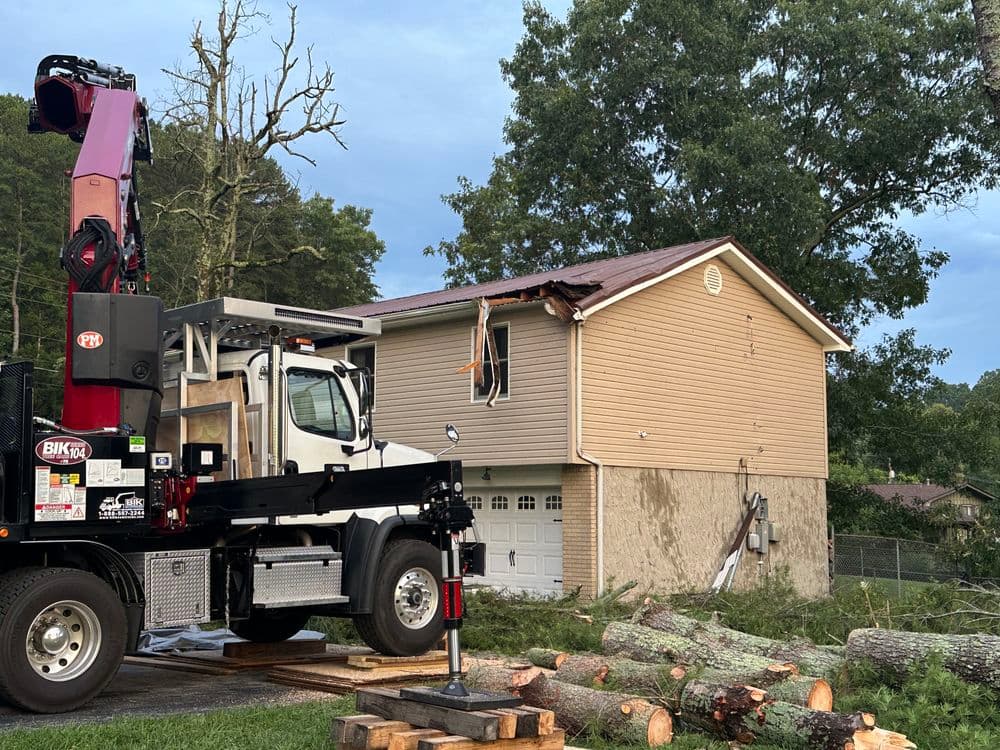 Gallery photos for Uprooted Pine Tree Laying on House: Image #7