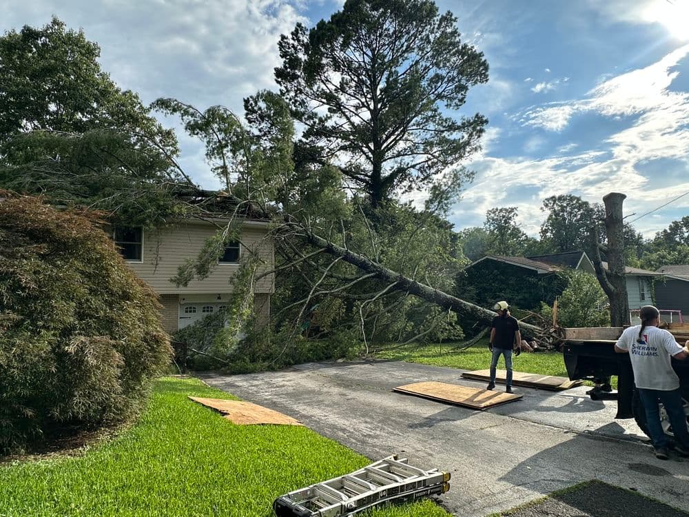 Uprooted Pine Tree Laying on House