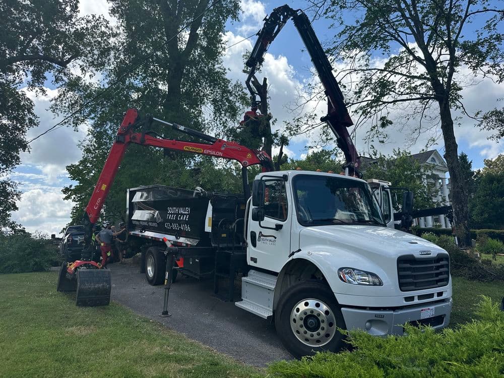 Storm-Damaged Willow Oak Removal on Chattanooga Ridge