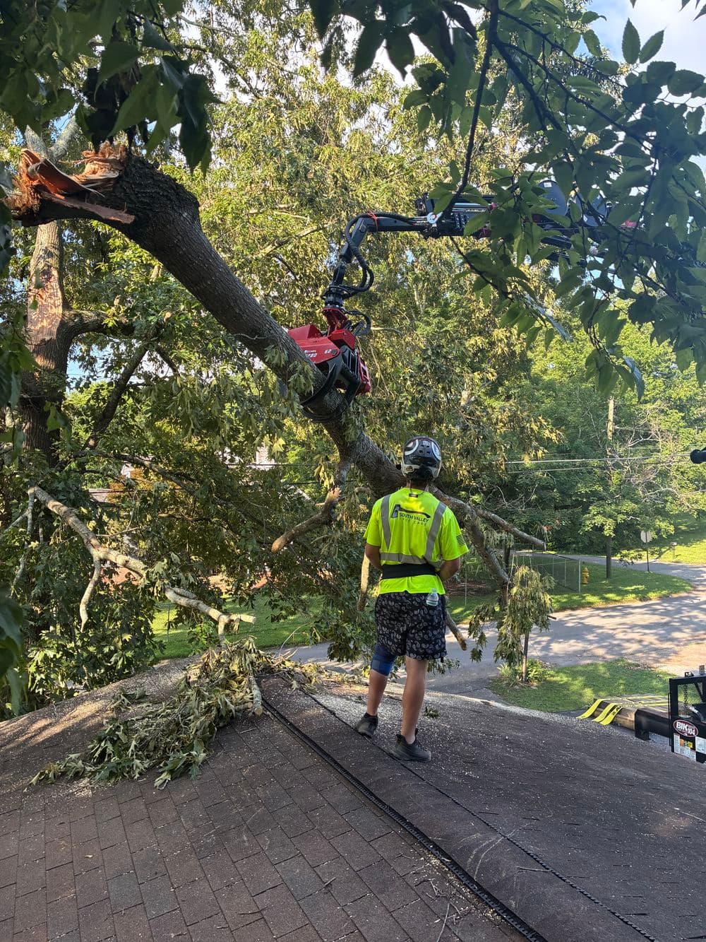 Crane Removal of a Storm Damage Limb Off a Roof in Chattanooga