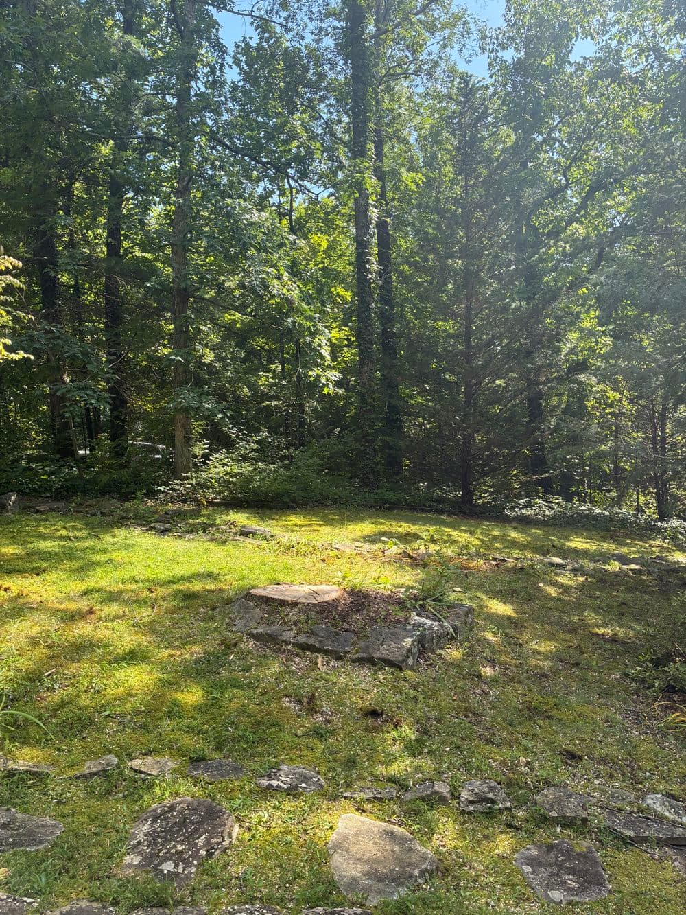 Lightning-Struck Poplar Removal on Signal Mountain