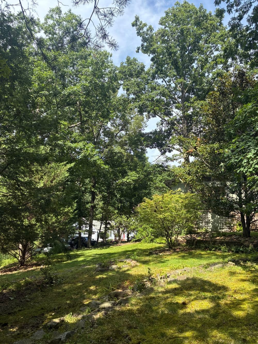 Lightning-Struck Poplar Removal on Signal Mountain